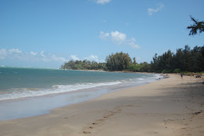 DSC_0620.JPG