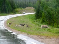 IMG_5117 IMG_5117