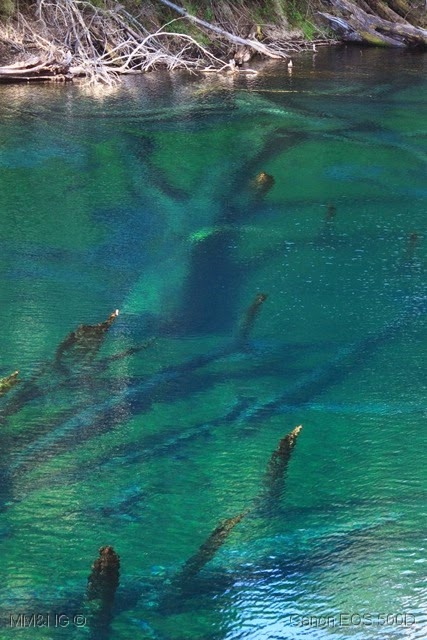 [IMG_3069%255B7%255D.jpg]