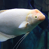IMG_4737.JPG