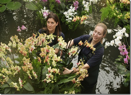 Discover Fascinating Tropical Extravaganza at Kew Gardens