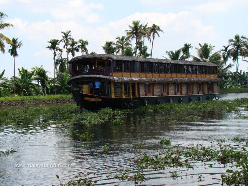Oru Kuttanadan Yathra: The scenic view of Kerala(South India)