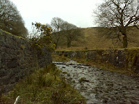DSC00534.JPG Photo