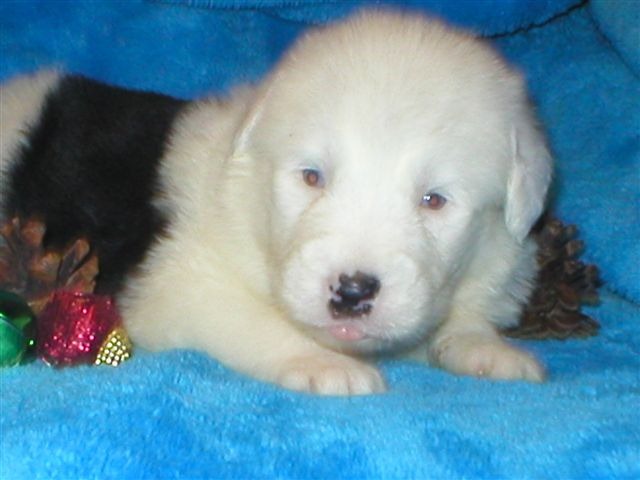 [IMG_3883%255B5%255D.jpg]