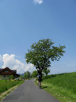 IMG_0015.JPG Photo