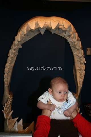 [IMG_7526%255B4%255D.jpg]