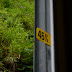 Grades coming down the mountain Pgphoto