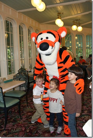 IMG_1702 IMG_1702