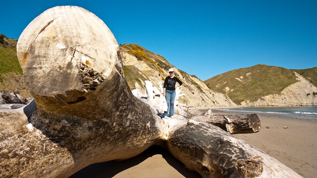 [P1450340%255B8%255D.jpg]