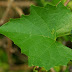 20120402_29