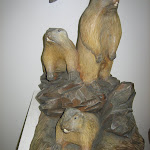 IMG_5364.JPG