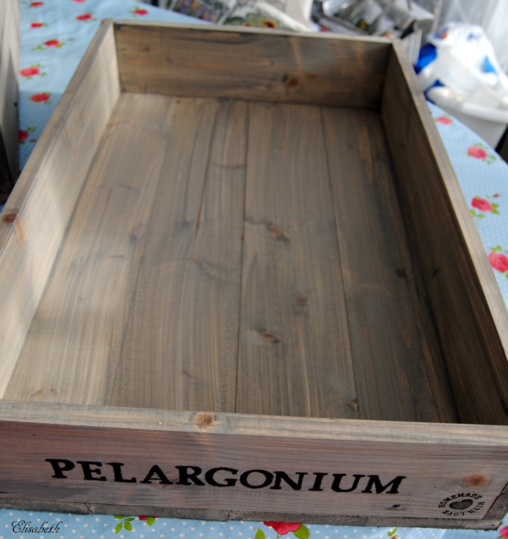 [Pelargonkasser%2520010%255B5%255D.jpg]