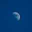 DSC_0989.jpg DSC_0989.jpg
