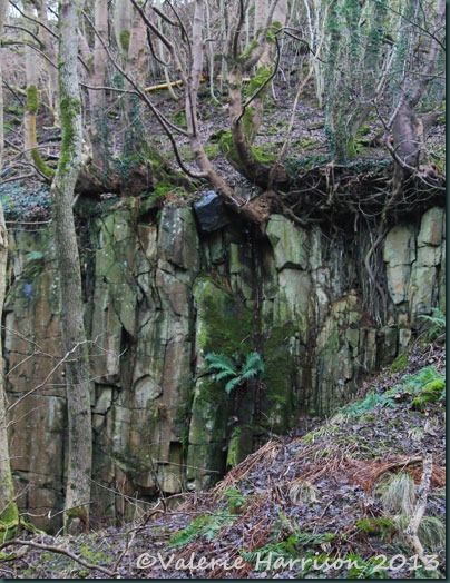 9-rocks 9-rocks