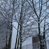DSC00315.JPG