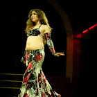 Document Name_3_279.JPG