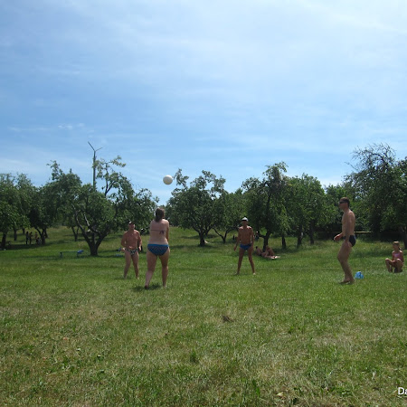 IMG_1619.JPG