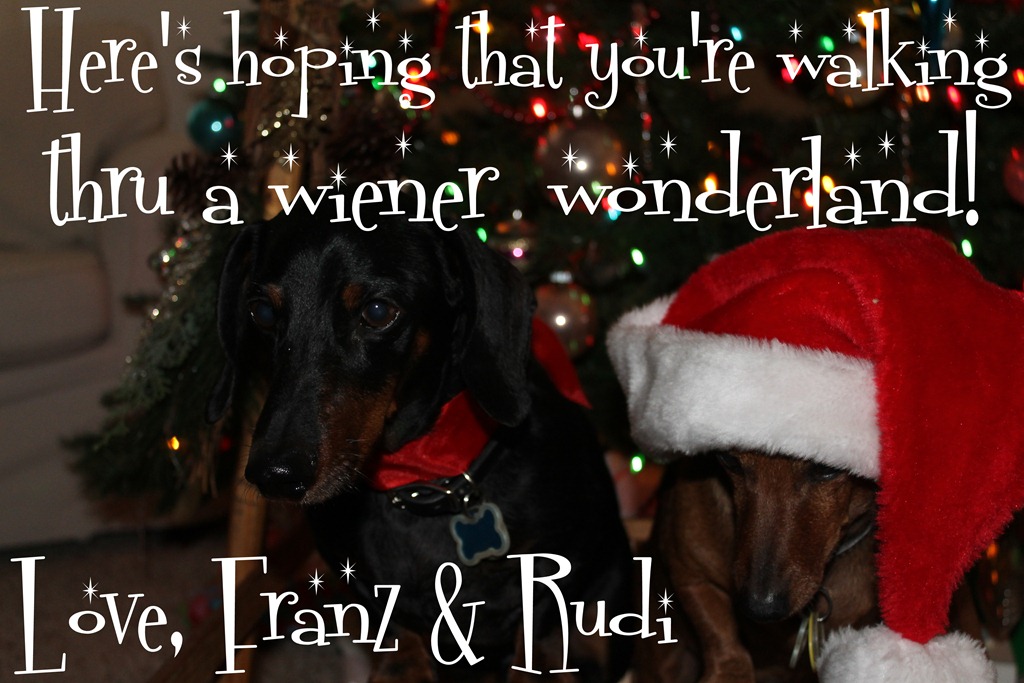 [rudi%2520and%2520franz%2520016-001%255B3%255D.jpg]