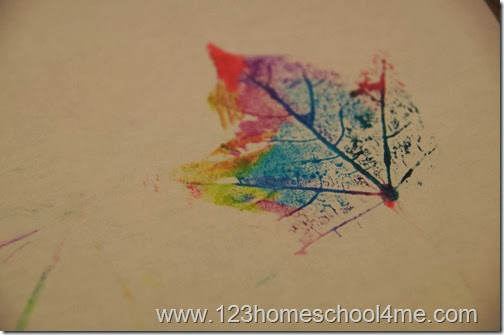 here is the pretty leaf print you get here is the pretty leaf print you get