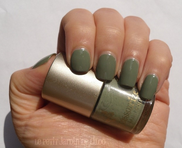 002-accessorize-nail-polish-wyoming-notd-review-swatch