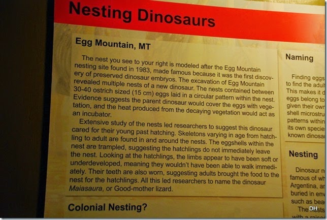 07-12-14 B Wyoming Dinosaur Center (198)