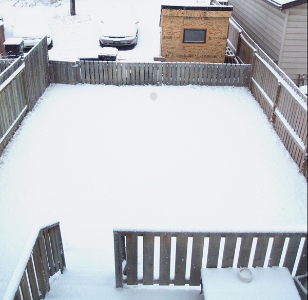 snowhome snowhome