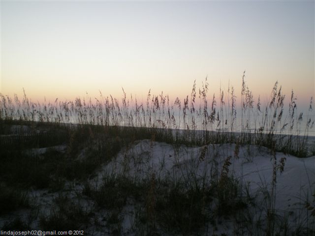 [Copy%2520%25282%2529%2520of%2520GulfShores10.13.2012.2%2520001%255B26%255D.jpg]