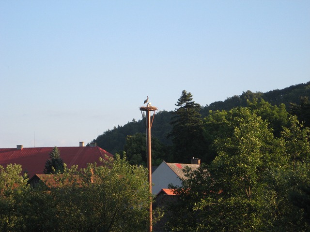 [IMG_0003%255B3%255D.jpg]