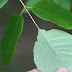 20120920_1