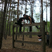 BILD0434.JPG