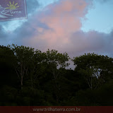 Vista da Mata a partir da Praia de Golfito - Nosso alojamento esta por ali - Golfito - Costa Rica