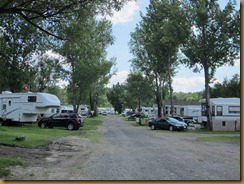 2011-7-4 carols campsite ontario canada (1) (800x600)