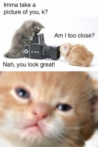 [viral-picdump-pics-e77f14%255B2%255D.jpg]