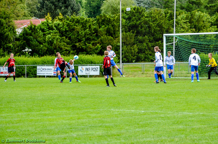 20140614 - WVV D4 - BATO TOERNOOI - 028.jpg