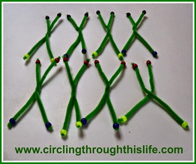 Chromosome Models Science from Moving Beyond the Page review at Circling Through This Life Chromosome Models Science from Moving Beyond the Page review at Circling Through This Life