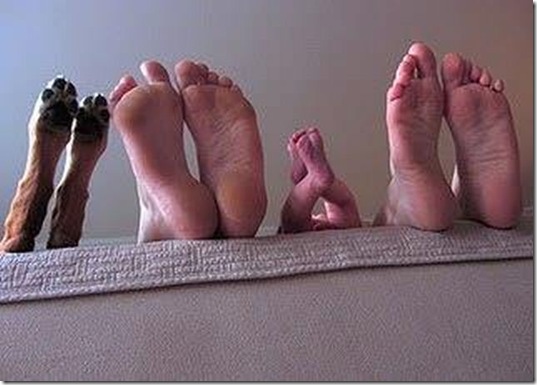 viral-picdump-pics-8