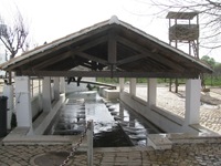 IMG_2762 IMG_2762