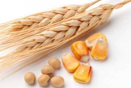 [Corn-Wheat-SoyBeans%255B4%255D.jpg]