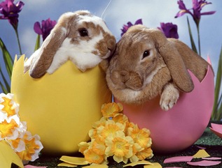 easter easter