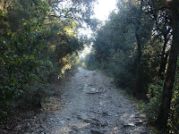 DSC09355.JPG Photo