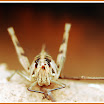 Copy of DSC_0107.JPG