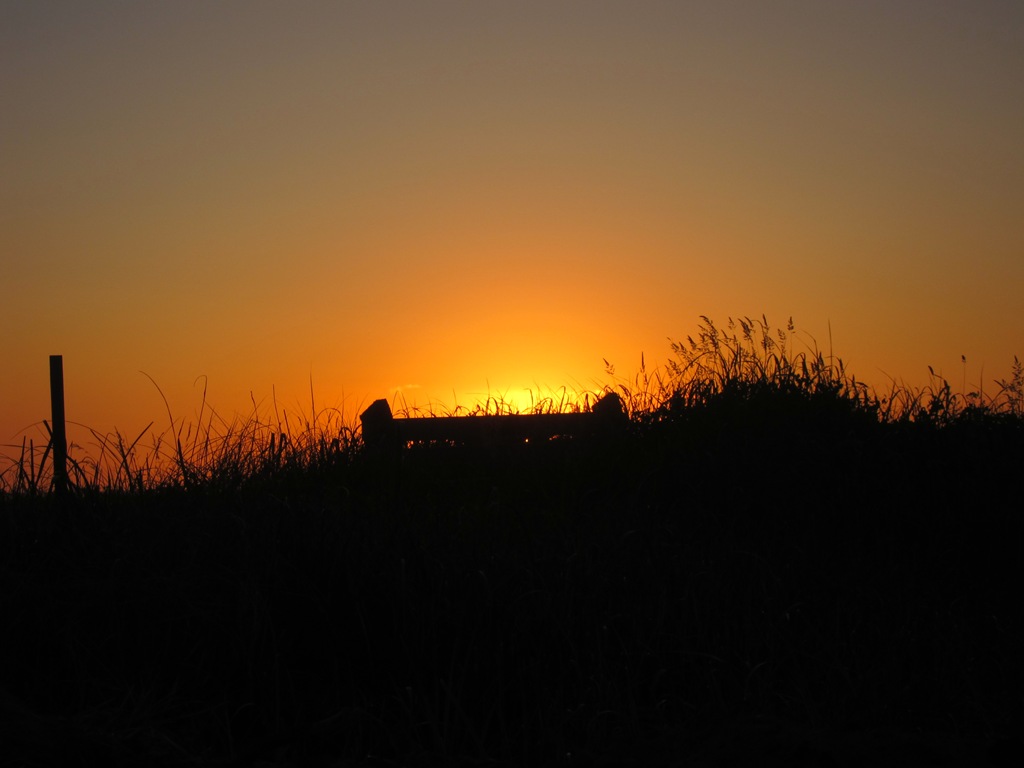 [IMG_4705%255B4%255D.jpg]