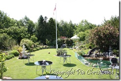 IMG_6059 IMG_6059