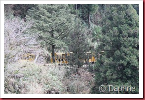 IMG_4910 IMG_4910