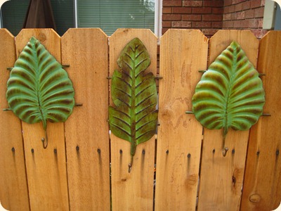IMG_3478 IMG_3478