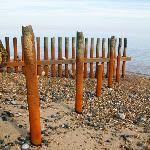 image21.jpg