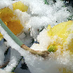 DSCF8628.JPG