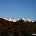 IMG_8160.JPG