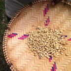 Rohkaffee nach dem Trocknen © Foto: Doreen Schütze | Outback Africa Erlebnisreisen