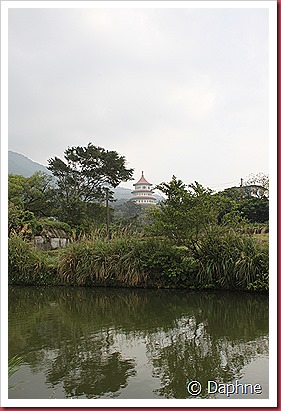 IMG_2441 IMG_2441